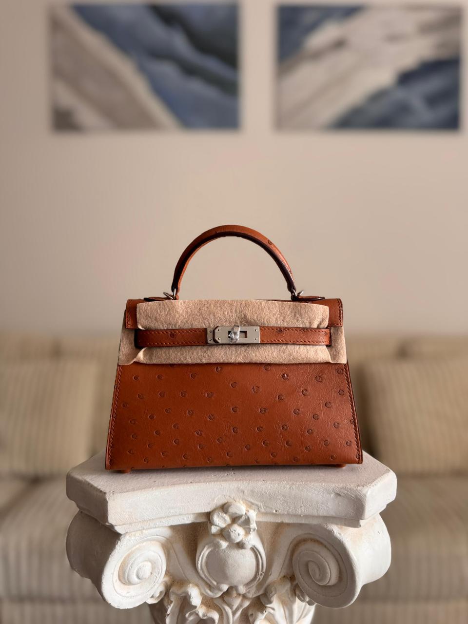 Herm**s ostrich bag.
