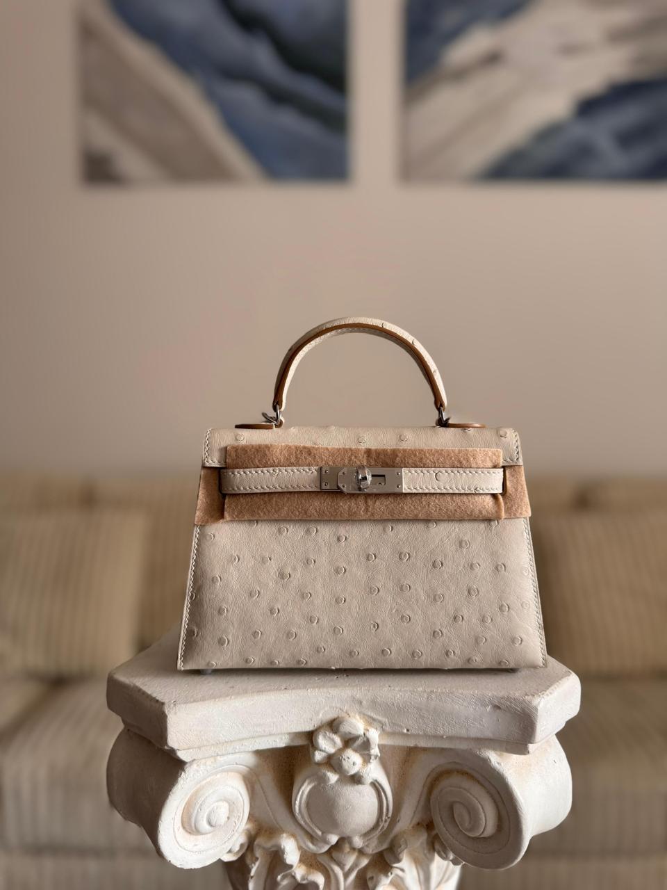 Herm**s ostrich bag.