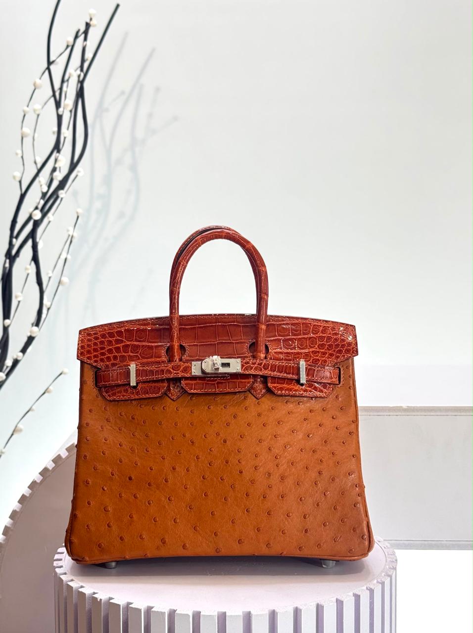 Herm**s ostrich bag.