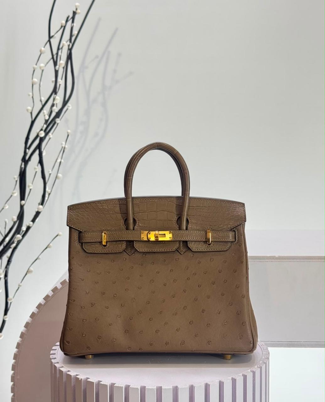 Herm**s ostrich bag.