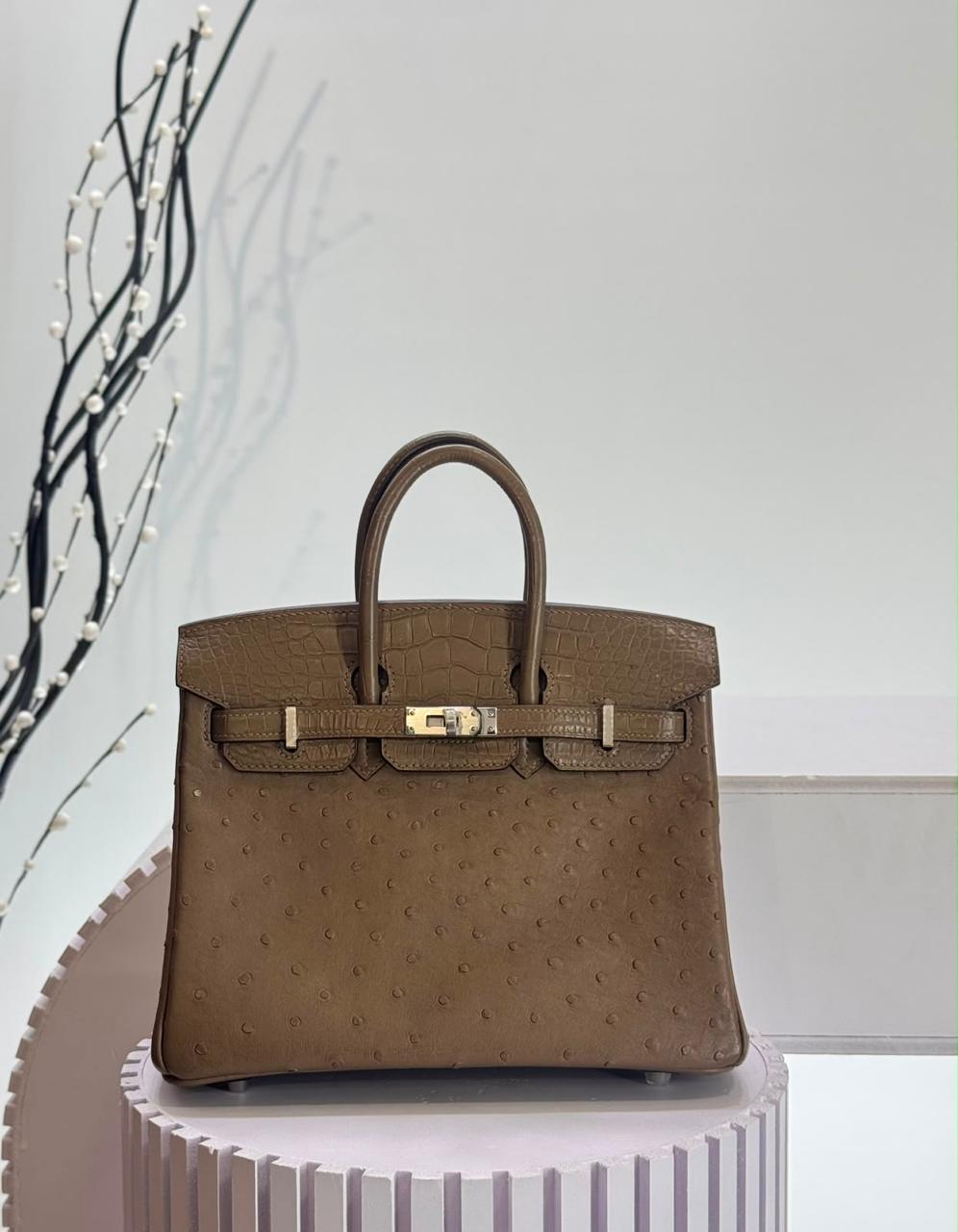 Herm**s ostrich bag.