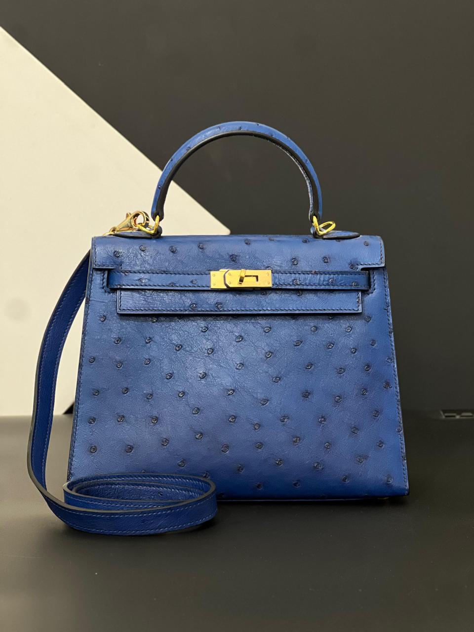 Herm**s ostrich bag.
