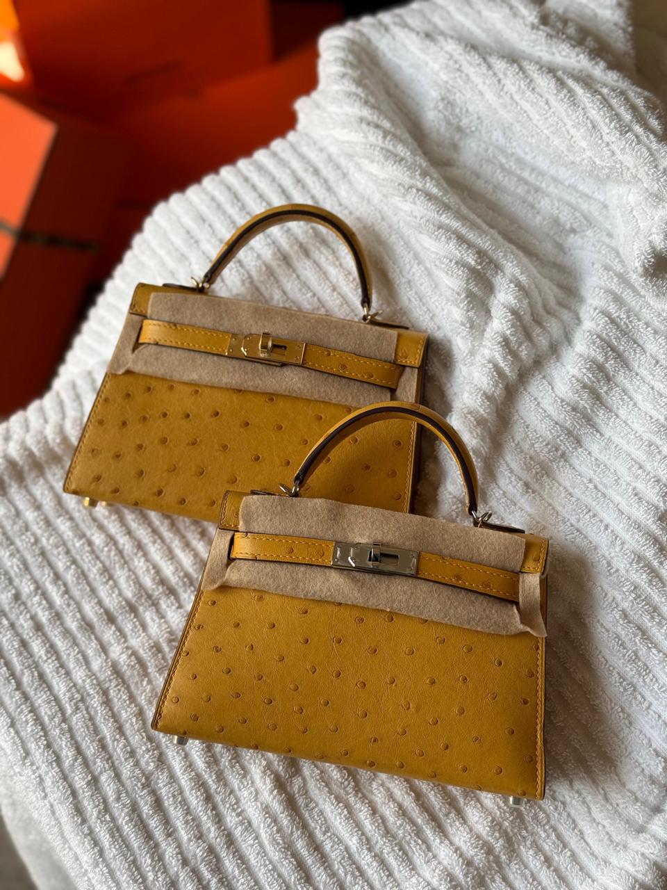 Herm**s ostrich bag.