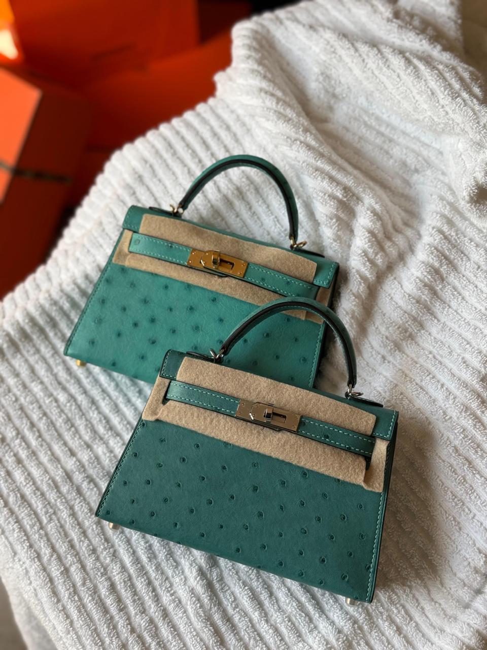 Herm**s ostrich bag.