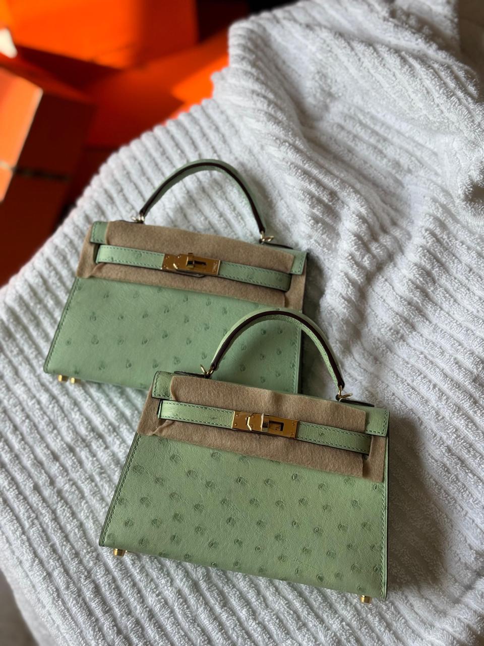 Herm**s ostrich bag.