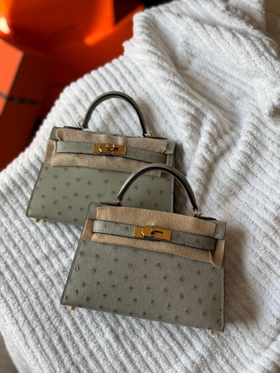 Herm**s ostrich bag.