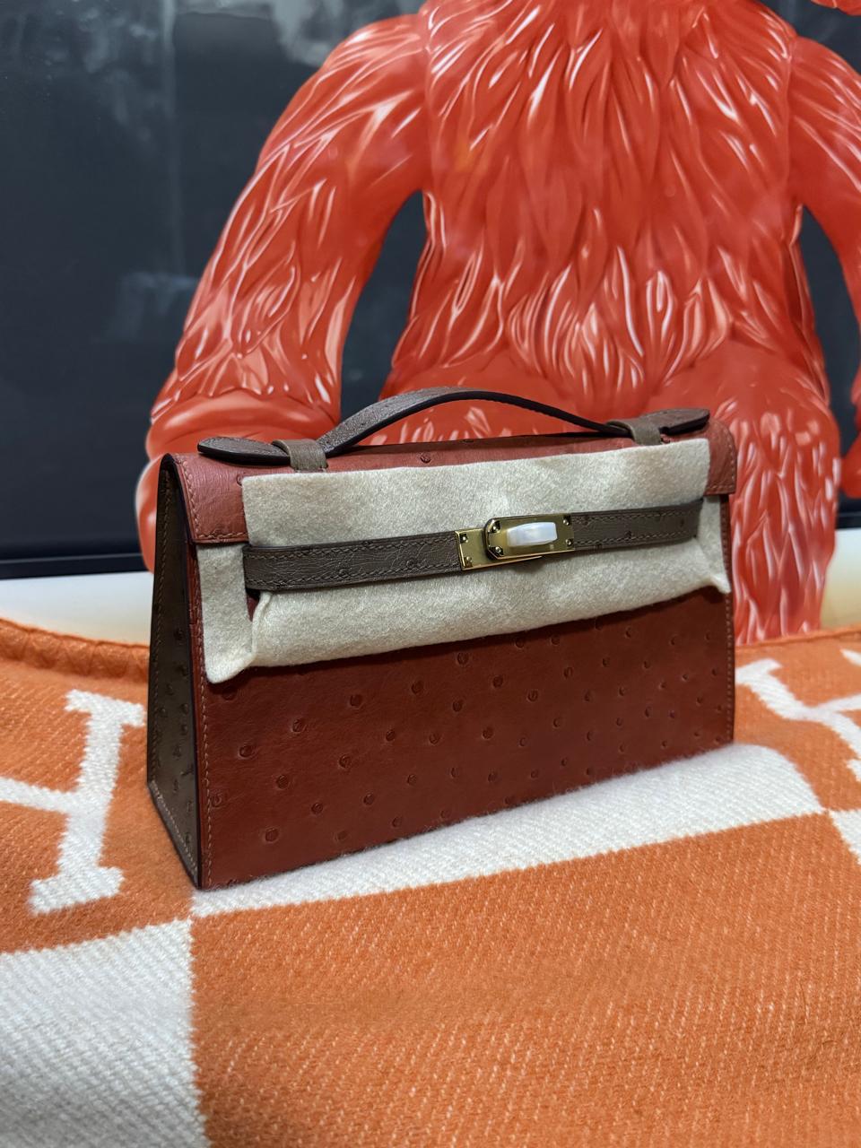 Herm**s ostrich bag.