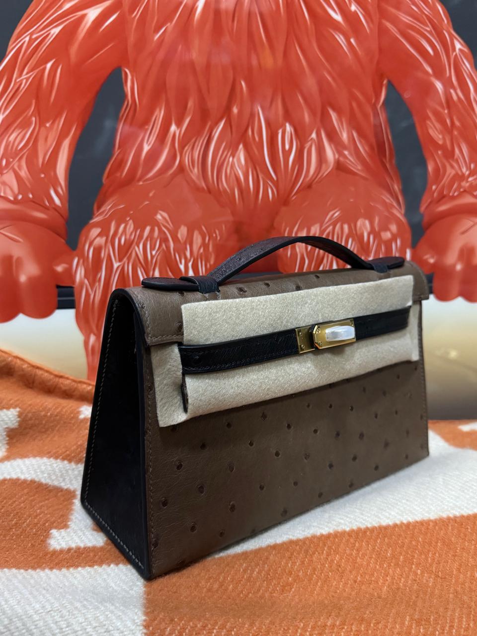 Herm**s ostrich bag.