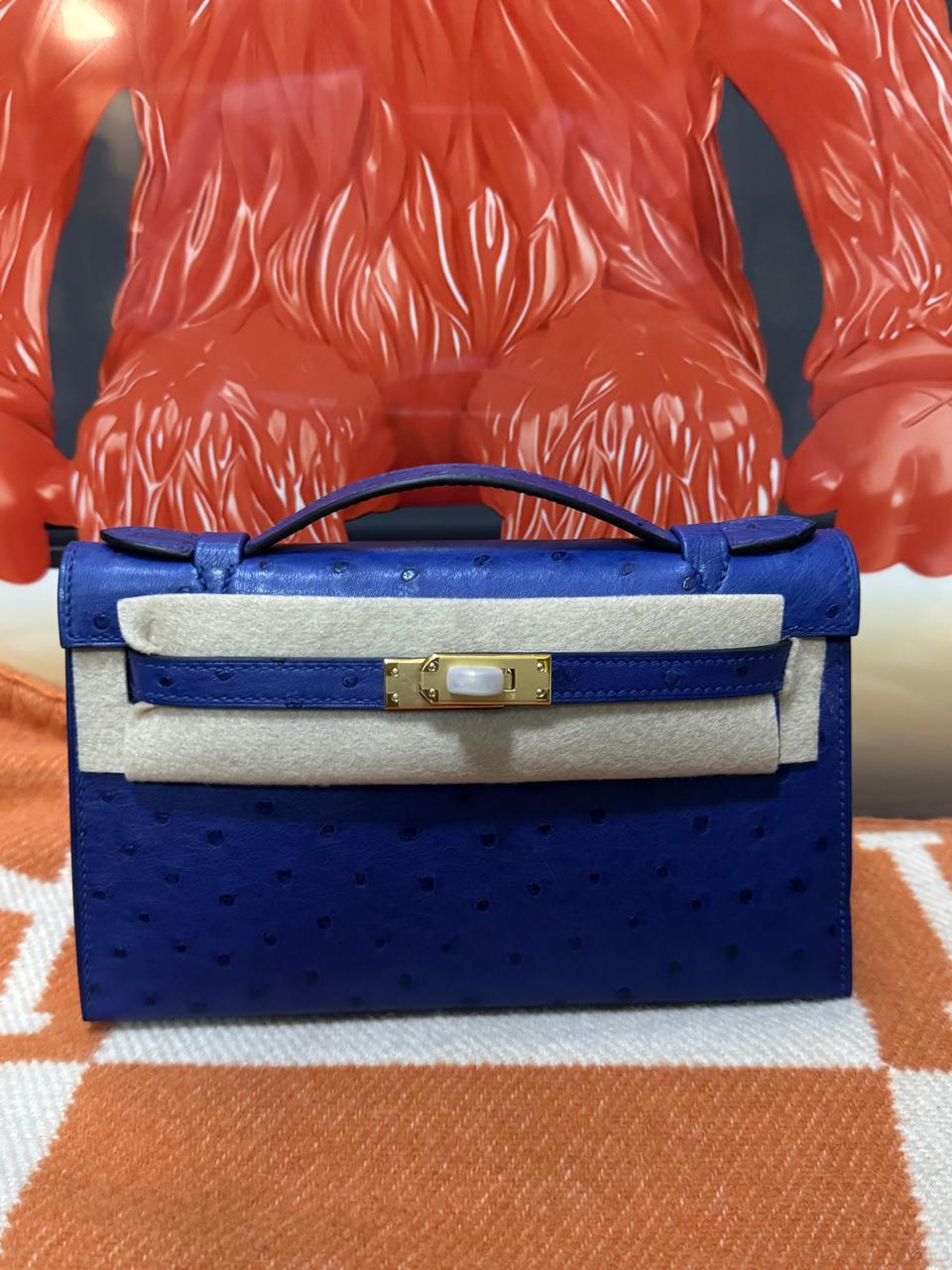 Herm**s ostrich bag.