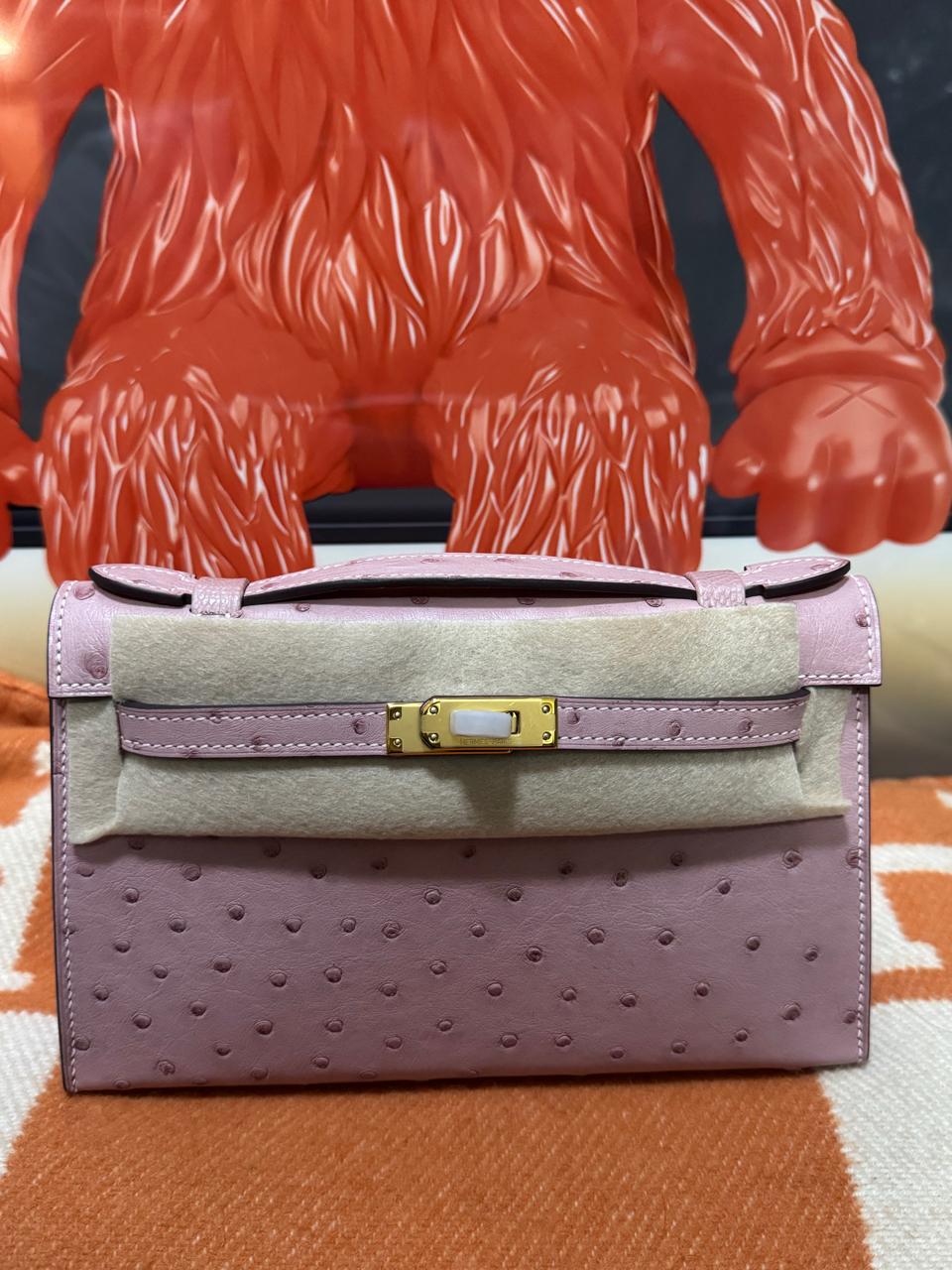 Herm**s ostrich bag.