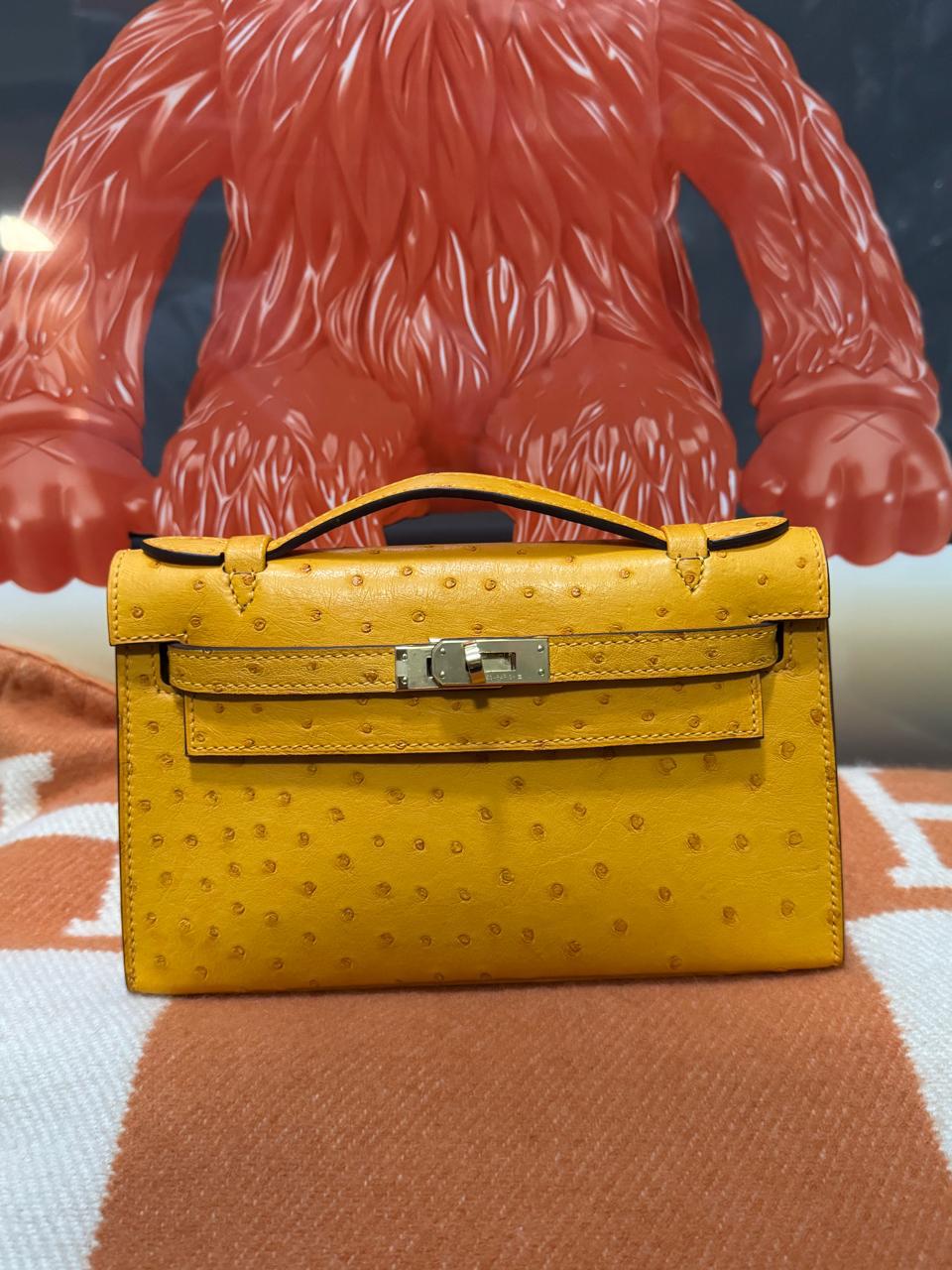 Herm**s ostrich bag.