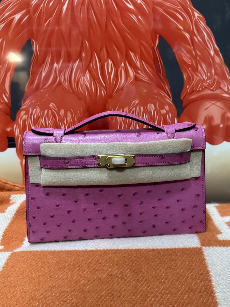 Herm**s ostrich bag.