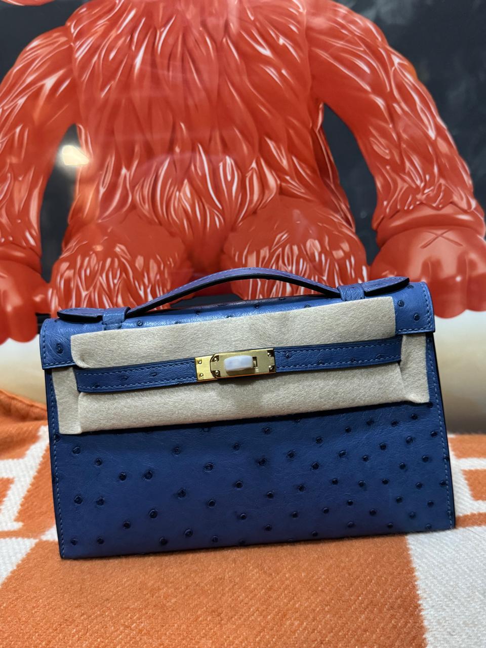 Herm**s ostrich bag.