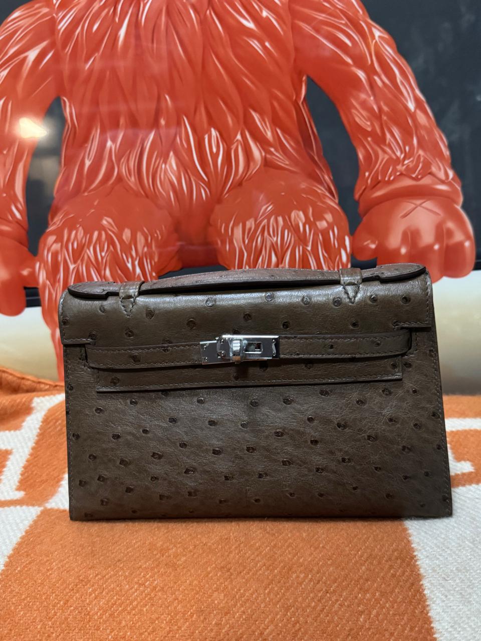 Herm**s ostrich bag.