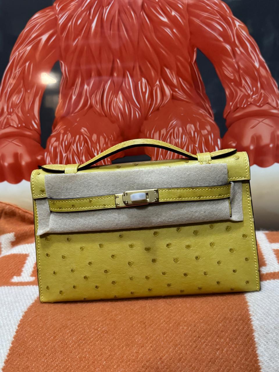 Herm**s ostrich bag.