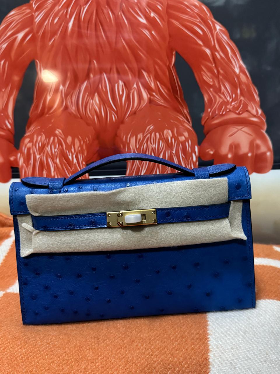 Herm**s ostrich bag.