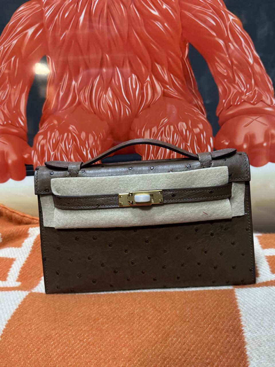Herm**s ostrich bag.