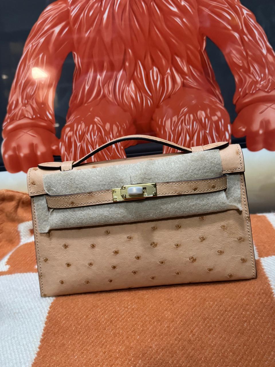 Herm**s ostrich bag.