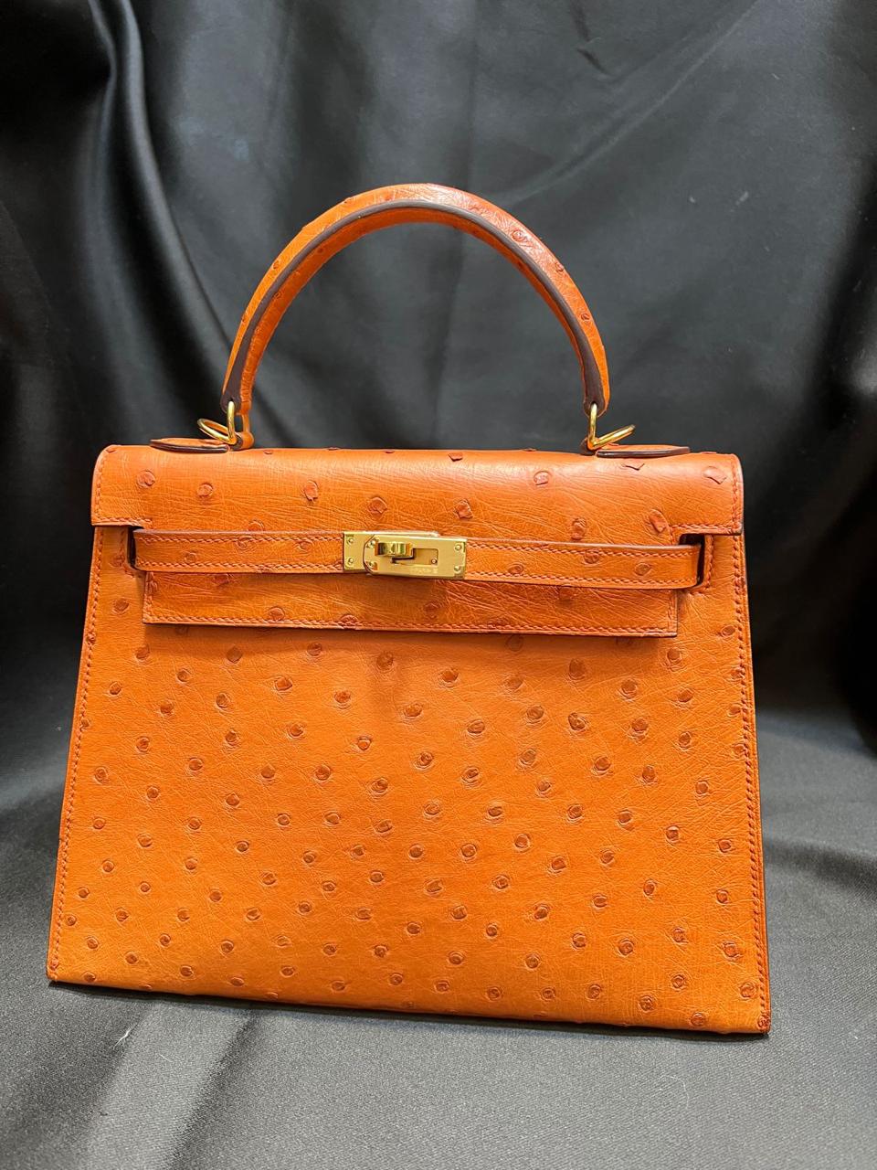 Herm**s ostrich bag.