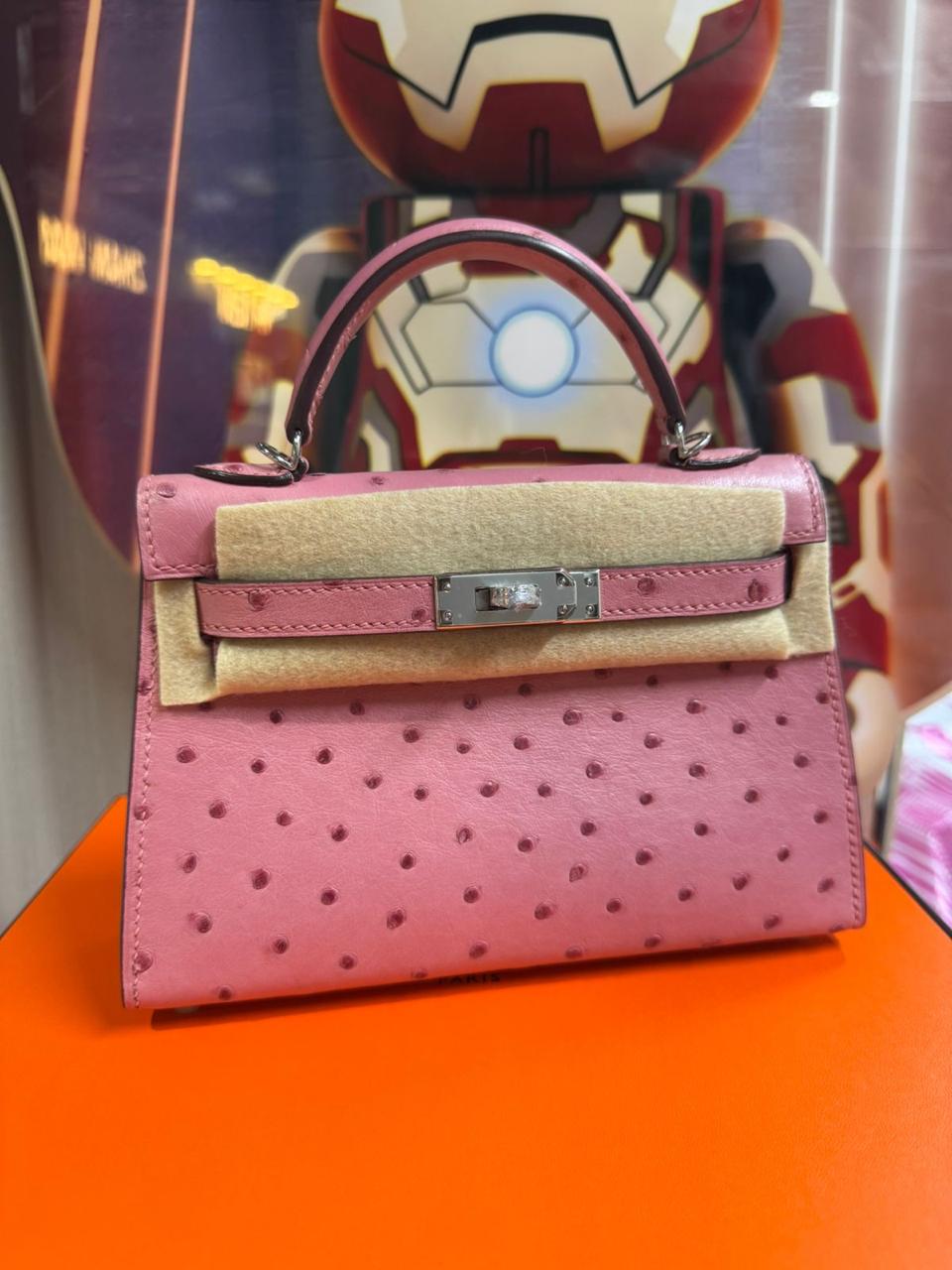 Herm**s ostrich bag.