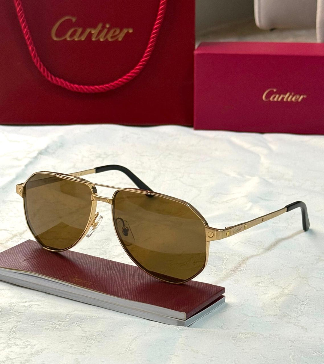 Men sunglasses
