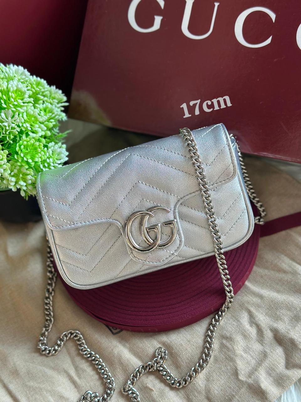 Ladies G**CI bags
