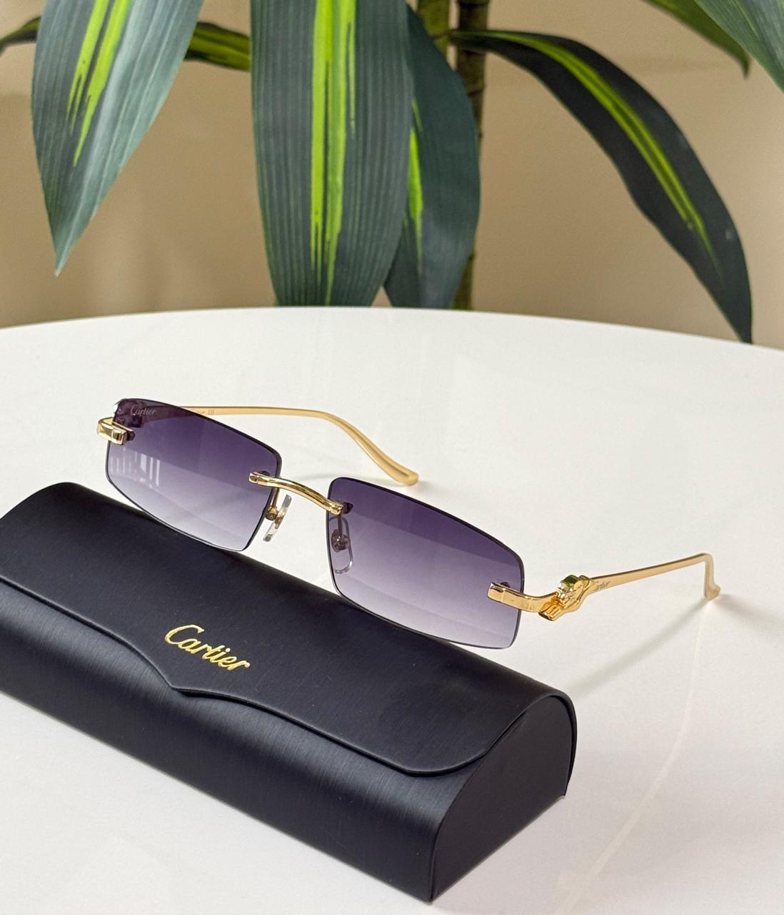 Ladies sunglasses