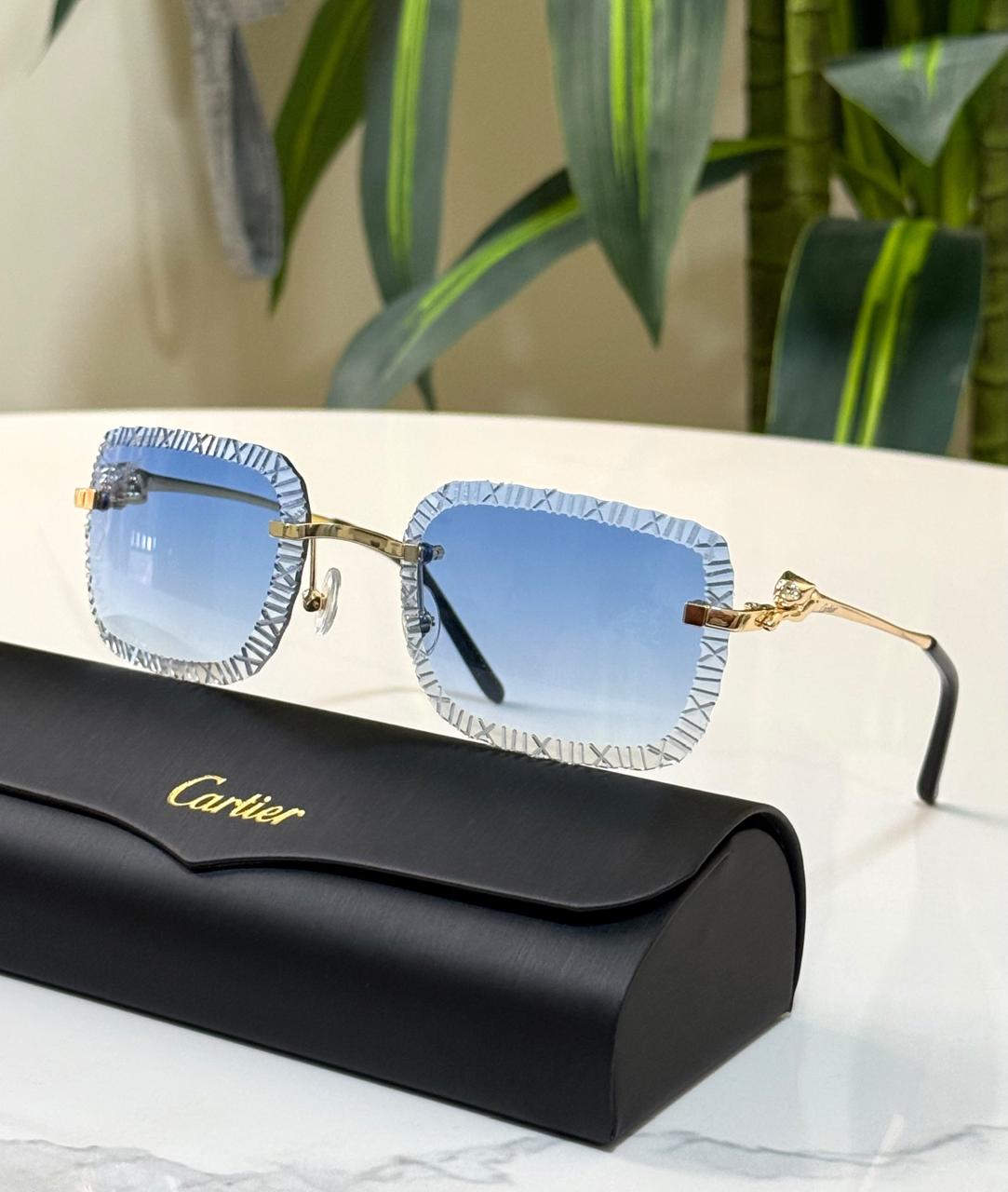 Ladies sunglasses