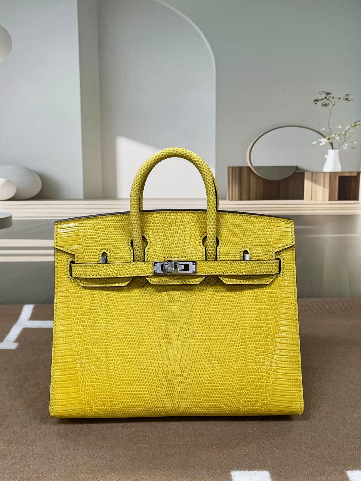 Ladies Herm**s bags