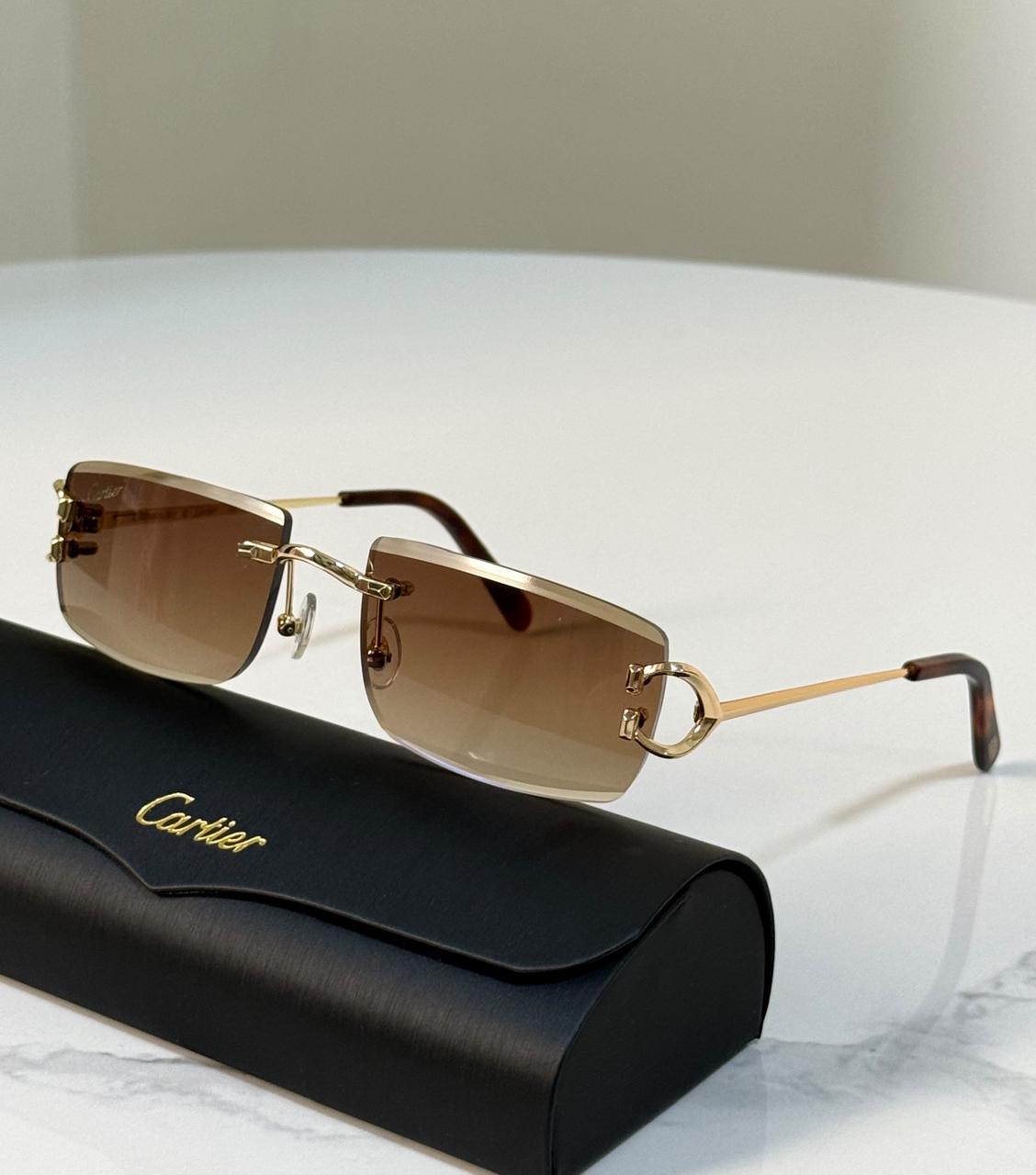 Men sunglasses