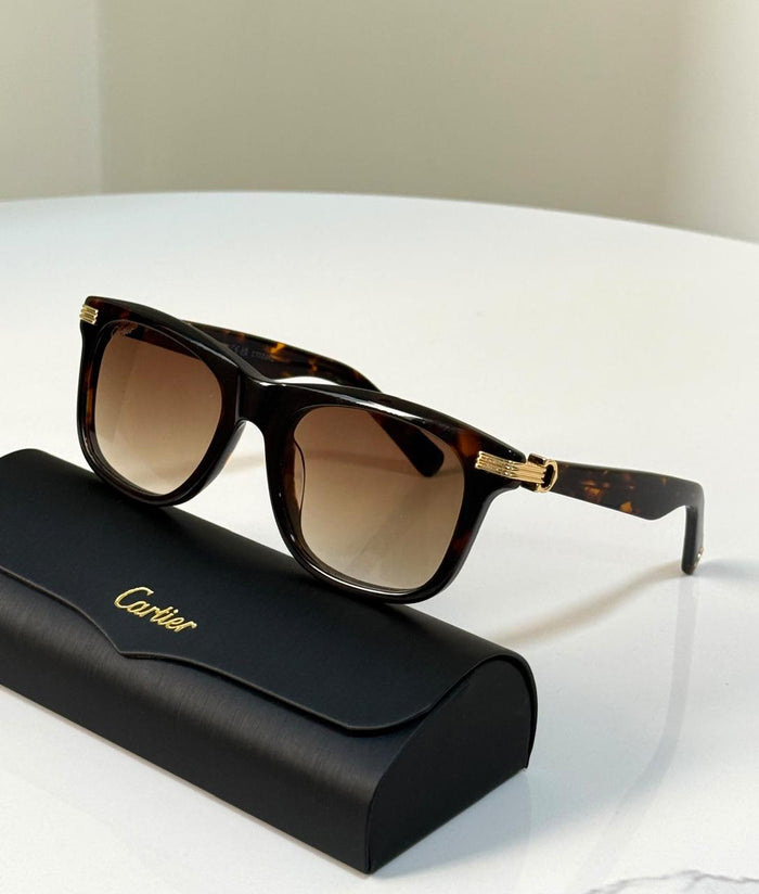 Men sunglasses